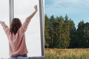 9 Arti mimpi seputar pohon menurut Islam, bawa pertanda baik