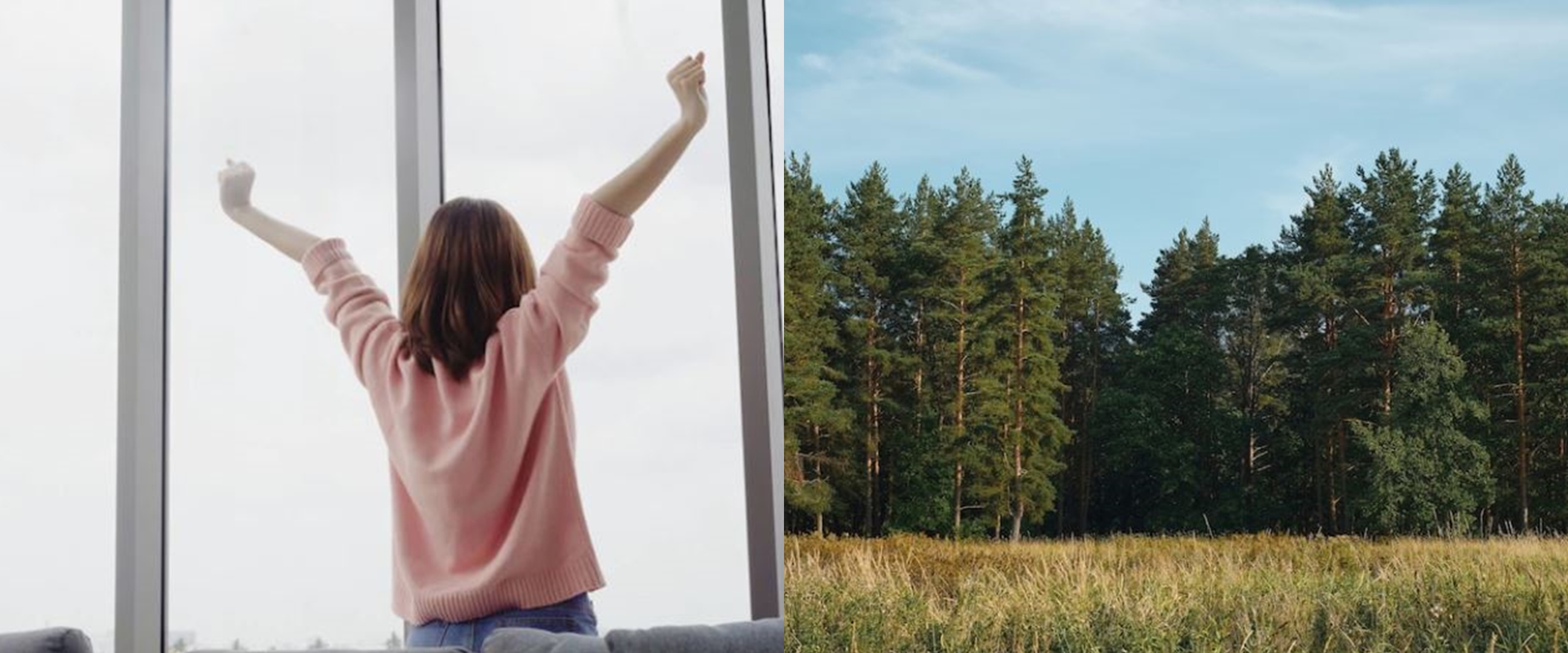 9 Arti mimpi seputar pohon menurut Islam, bawa pertanda baik