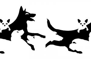 Ungkap potensi terbesarmu dari jumlah anjing yang dilihat di foto ini