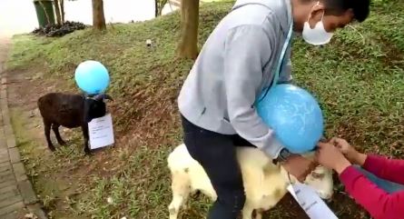 Askara anak Andin & Aldebaran banjir kado dari fans, ini 11 potretnya