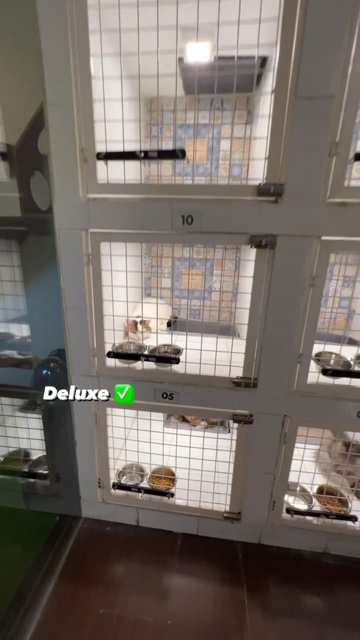 9 Penampakan hotel kucing milik Tya Ariestya, dilengkapi playground