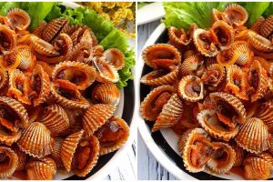 Resep kerang dara saus Padang, enak, praktis, dan menggugah selera