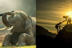 Pengertian empati, manfaat dan ciri-cirinya