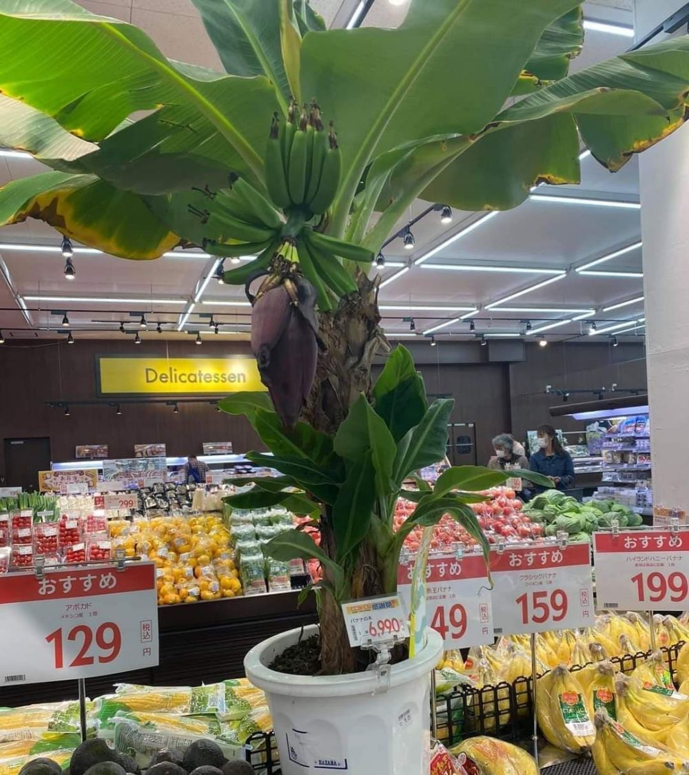 21 Momen nyeleneh di dalam supermarket ini bikin nggak habis pikir