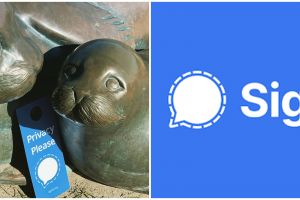 7 Keunggulan dan fitur aplikasi Signal, privasi pesan aman