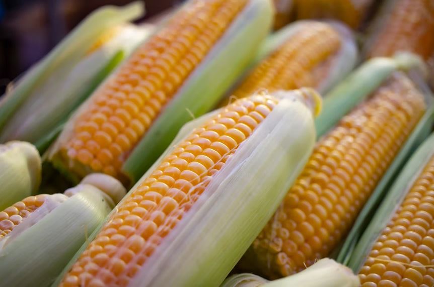 Lebih sehat, ini 11 jenis karbohidrat kompleks yang bisa gantikan nasi