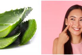 11 Manfaat aloe vera untuk wajah dan cara mengaplikasikannya