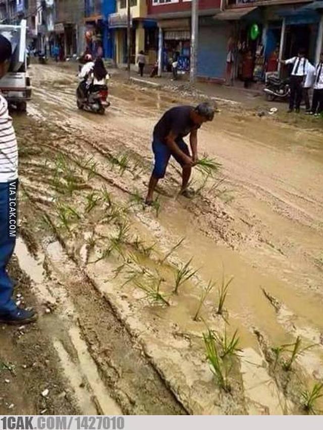 11 Potret nyeleneh bapak-bapak bercocok tanam ini bikin geleng kepala