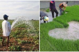 11 Potret nyeleneh bapak-bapak bercocok tanam ini bikin geleng kepala