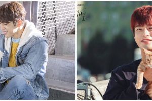 5 Drama Korea kisahkan kehidupan para pencinta binatang, bikin gemas