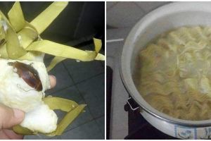 11 Momen apes alasan gagal makan, bikin nggak selera