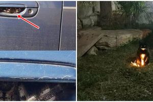 11 Momen lucu nyaris bikin kaget, ada-ada aja kejadiannya