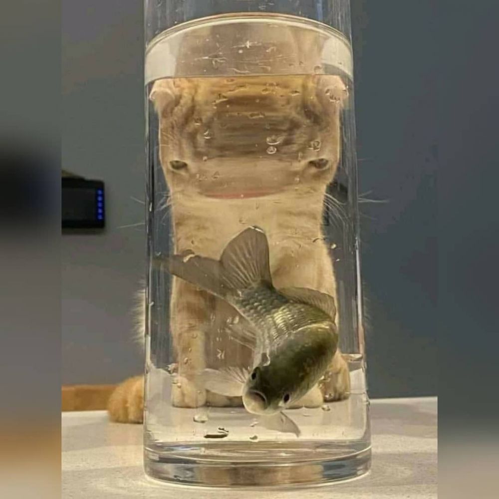 11 Momen lucu nyaris bikin kaget, ada-ada aja kejadiannya