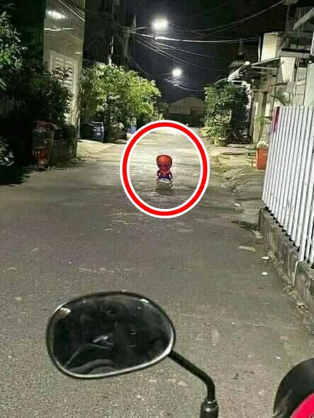 penampakan bikin kaget di jalan Instagram