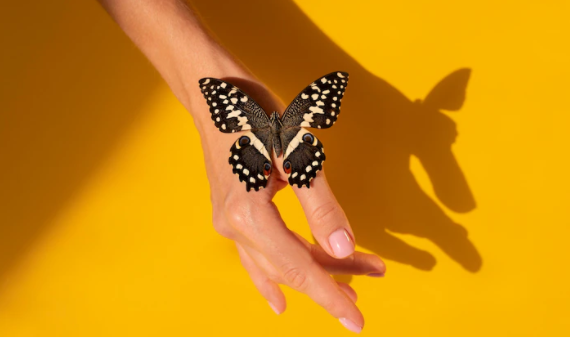 9 Arti mimpi seputar kupu-kupu, melambangkan perubahan hidup