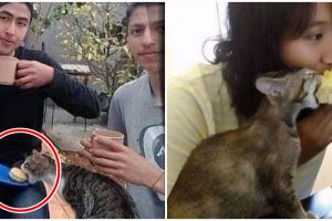 13 Momen lucu nggak sadar lagi kena sial, mau ketawa tapi kasihan