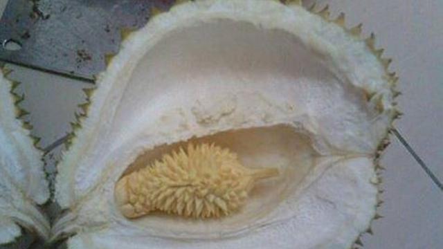 13 Penampakan zonk isi buah ini bikin senyum miris