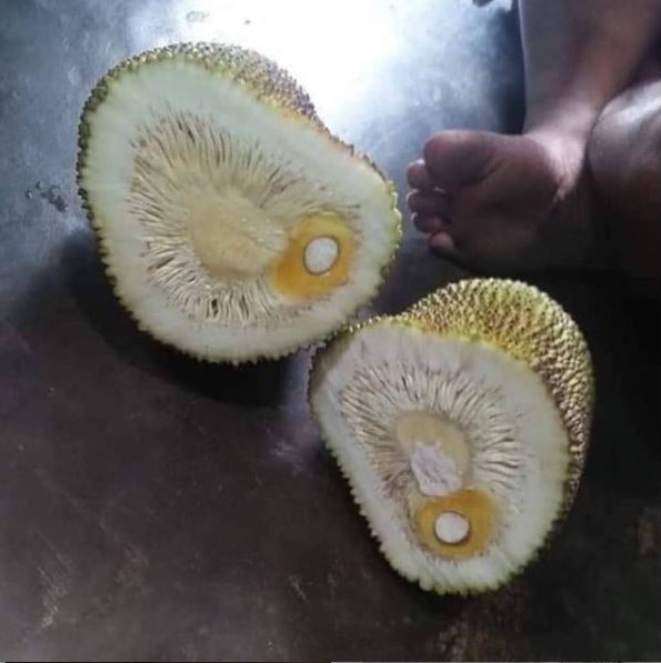 13 Penampakan zonk isi buah ini bikin senyum miris