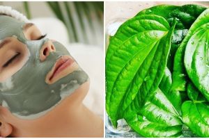4 Cara menggunakan daun sirih untuk masker wajah, bisa bikin glowing
