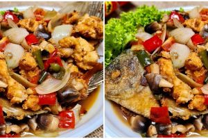 Resep gurame saus tiram, mudah dibuat dan cocok buat keluarga