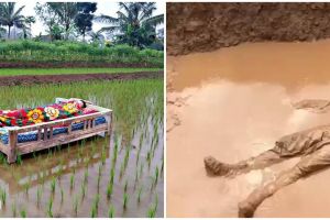 11 Potret lucu yang penting rebahan, bikin heran melihatnya