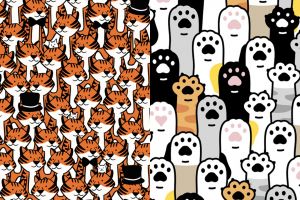 Buang kantuk saat puasa dengan jawab tes gambar ini, sefokus apa kamu?