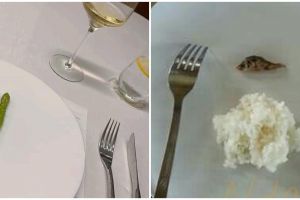 11 Penampakan makanan ala fine dining ini malah bikin tepuk jidat