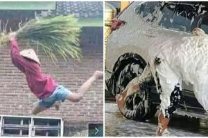 13 Potret bapak-bapak terlalu semangat bekerja, kocak abis