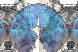 Kesetiaanmu pada pasangan bisa terungkap lewat tes gambar ini