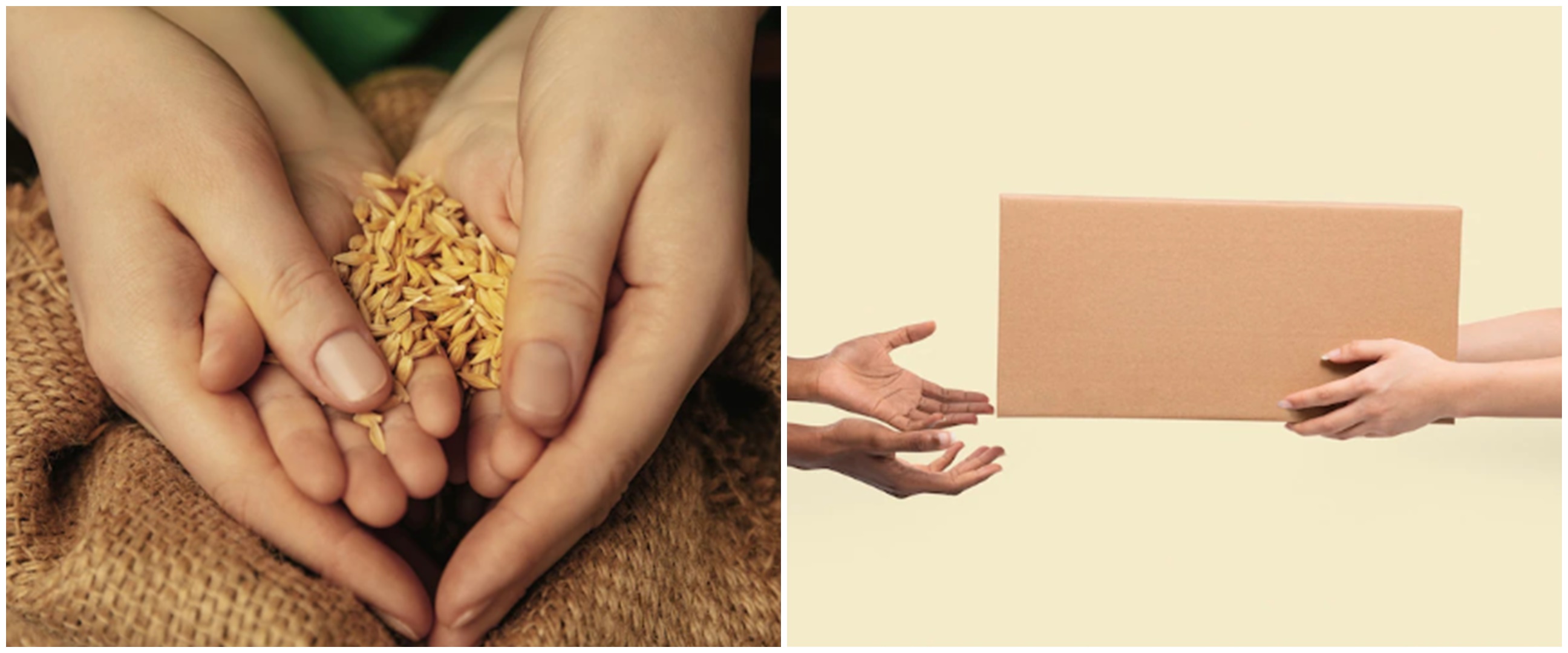 Doa menerima zakat fitrah beserta terjemahan dan syaratnya