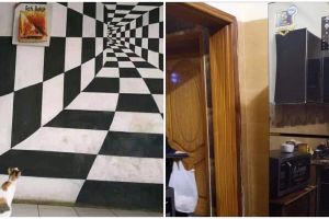 13 Penampakan lucu kena ilusi optik, bikin bingung lihatnya