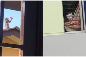 11 Penampakan nyeleneh terlihat di kaca ini bikin mikir dua kali