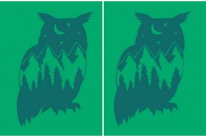 Tes kepribadian ini ungkap sifat baik dominan dari dirimu, yuk coba