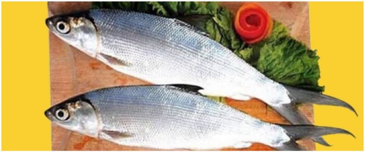 10 Trik menghilangkan duri ikan bandeng tanpa presto, antigagal