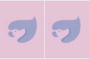 Gambar pertama yang kamu temukan ungkap kecerdasanmu, yuk coba