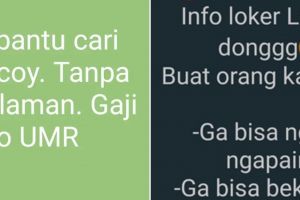 9 Status WhatsApp soal lowongan kerja ini bikin ngelus dada