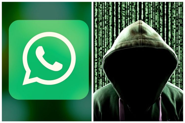 11 Cara mencegah agar WhatsApp tidak mudah disadap, kenali indikasinya