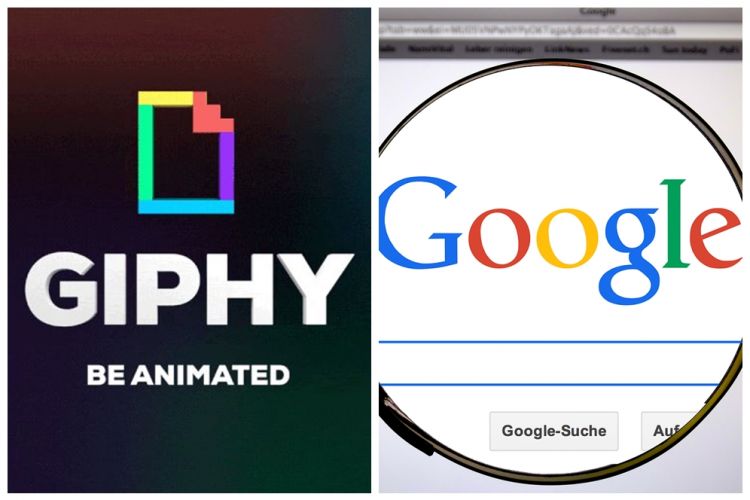 Cara download GIF dari platform Giphy dan Google, cepat dan mudah