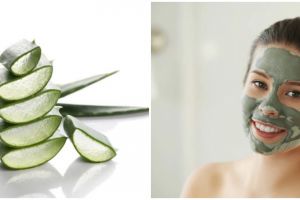 7 Cara membuat masker lidah buaya untuk kulit kering, wajah pun lembap