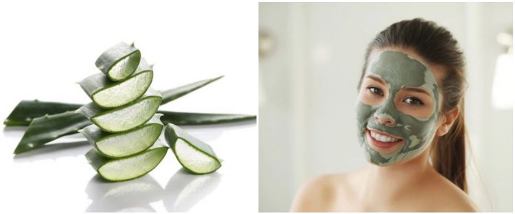 7 Cara membuat masker lidah buaya untuk kulit kering, wajah pun lembap
