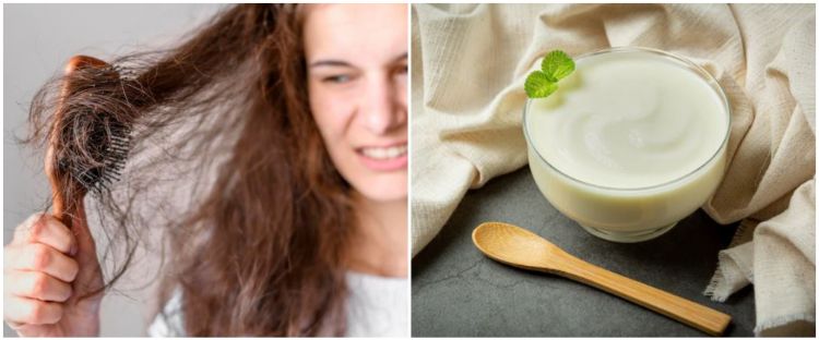 9 Cara mengatasi rambut kering pakai bahan alami, gunakan yoghurt