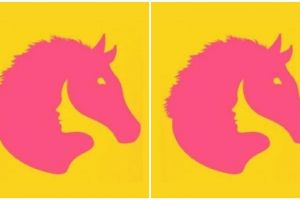 Tes ini bisa ungkap sifat terpendam yang jadi kelebihan kamu