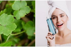11 Toner centella asiatica mulai Rp 50 ribu, bantu atasi jerawat