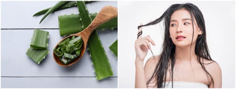 9 Manfaat lidah buaya untuk rambut, beri efek kilau alami