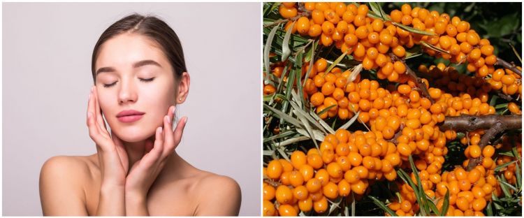 9 Skincare dengan kandungan sea buckhtron, harga mulai Rp 100 ribu