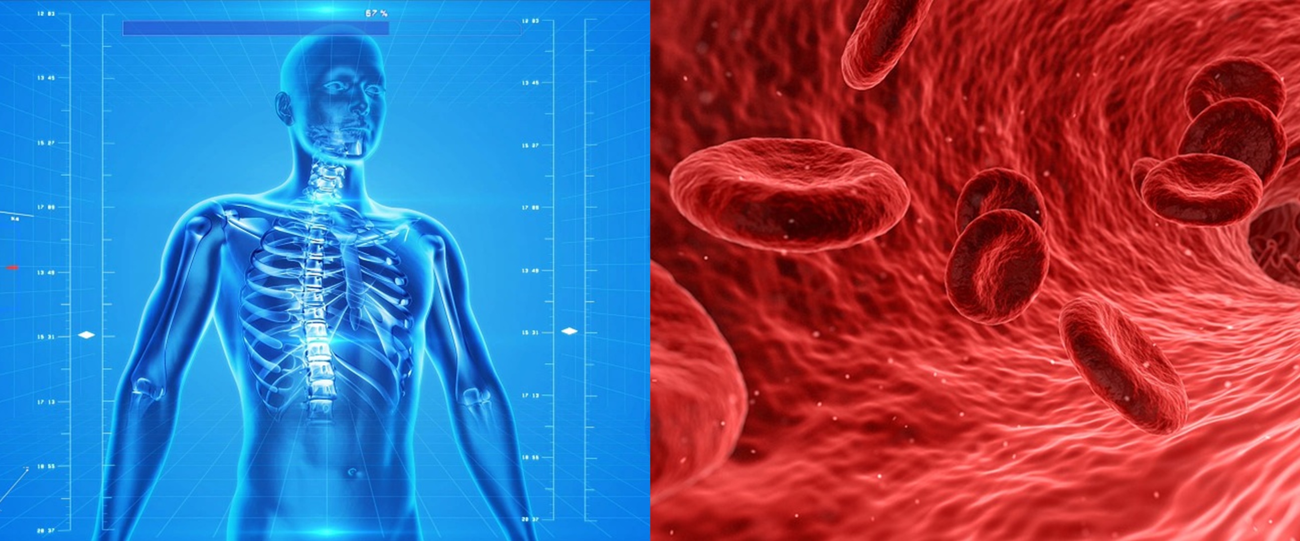 Enzim adalah: arti, ciri, dan jenis-jenisnya