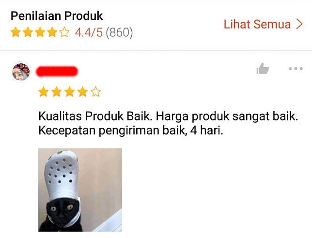 kucing direivew online shop © Twitter