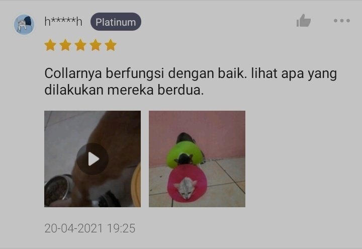 kucing direivew online shop © Twitter