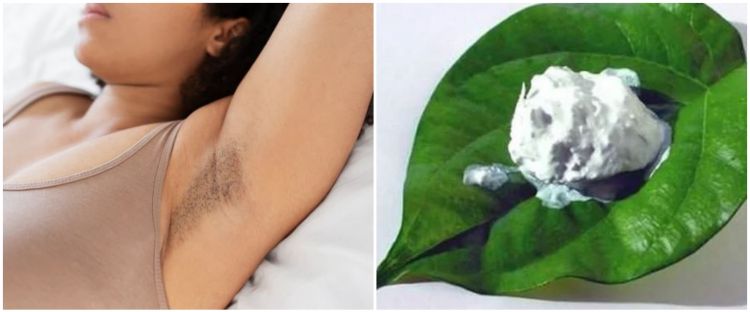 7 Cara menghilangkan bulu ketiak secara alami, gunakan kapur sirih
