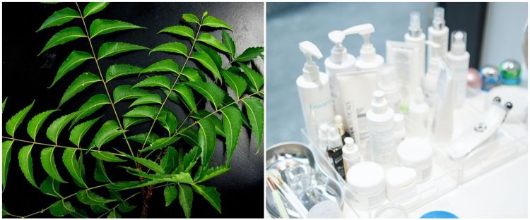 7 Skincare dengan kandungan neem, wajah bebas dari jerawat